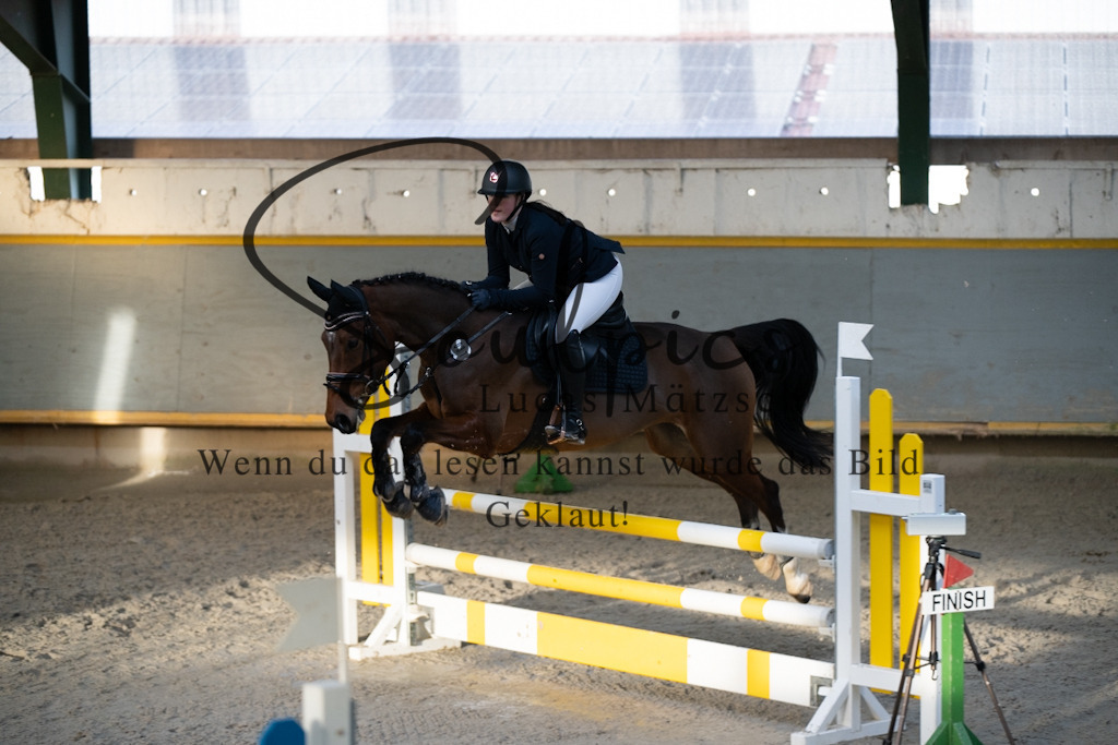 A7V01574 | Pferdefotograf