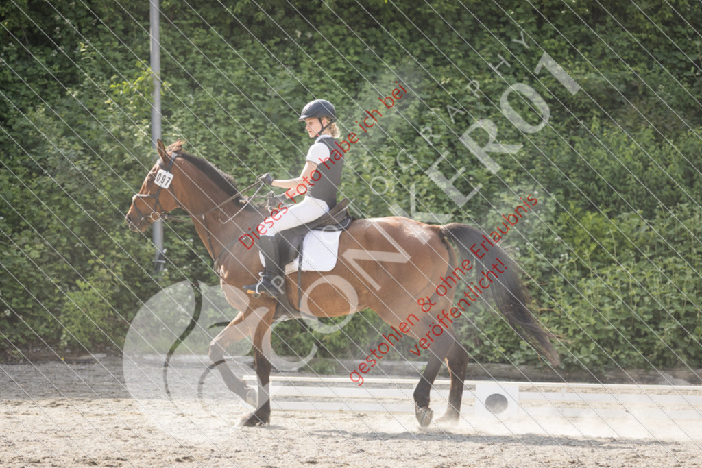 IMG_5899 | Sport-, Event- und Tierfotos in Profiqualität. Einfach auswählen, bestellen und herunterladen. Dein Moment – perfekt festgehalten.