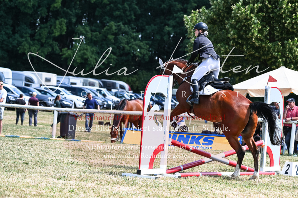 DSC_9841 | Pferde- und Turnierfotografie in Westsachsen. Pferdeportraits, Auftragszeichnungen und intuitive Kunst.