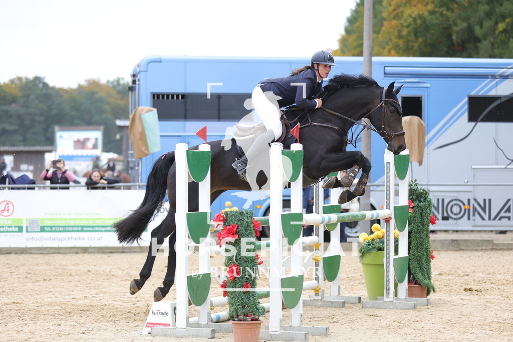 0P6A3265 | Willkommen bei Brunnmayr - Design & Fotografie – Ihrem Spezialisten für Reitturniere und Pferdeveranstaltungen in Oberösterreich, Salzburg und Bayern! Seit über 17 Jahren sind wir leidenschaftlich dabei.