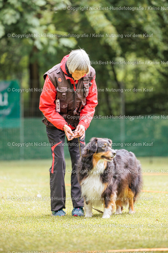 RO-Blumenthal-2026-Nickbest-Hundefotografie-2221 | Dein Hund! Dein Moment! Deine Erinnerungen! Hundefotografie in Bremen Blumenthal. Ich fange die besonderen Momente deines Vierbeiners ein – ob Indoor mit Blitzanlage oder in der freien Natur. Sicher dir dein Moment und dein Termin für eure Erinnerungen.