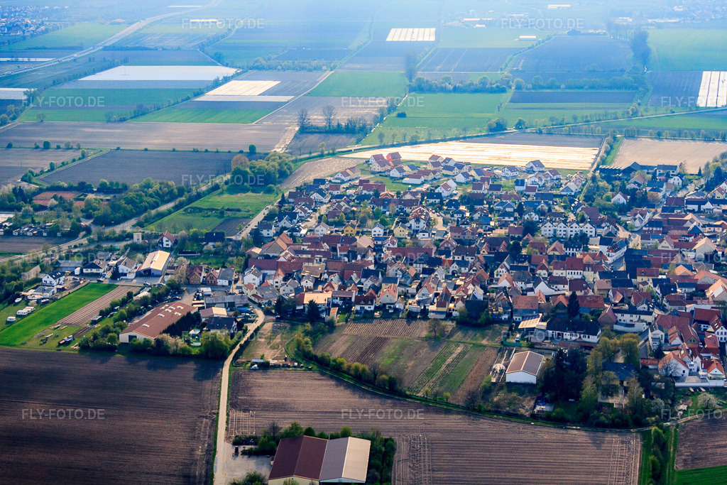 Luftbild: Ortsansicht von Osten in Heuchelheim bei Frankenthal im Bundesland Rheinland-Pfalz in Deutschland. Foto: IMG_49853.jpg vom 13.04.2012 durch Werner Riehm/FLY-FOTO.deAuflösung des Originals: 4752 x 3168 px