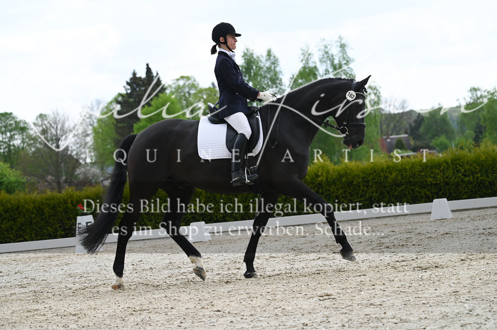 20230512_JK-Röhrsdorf-03-077 | Pferde- und Turnierfotografie in Westsachsen. Pferdeportraits, Auftragszeichnungen und intuitive Kunst.