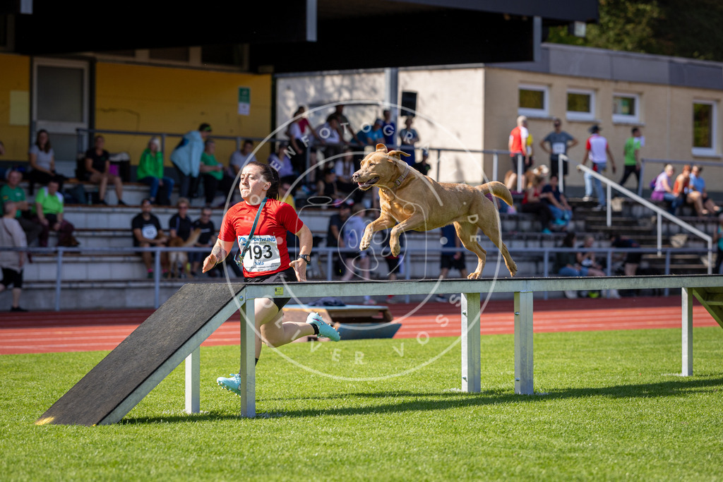 Pfotenfotografie_DV3A0676 | Hundefotografie, Tierfotograf, Pfotenfotografie, Fotoshooting Hund, Hunde Portrait, Hundesport, Hundeportraits, Heideshooting, Hunde, Sportfotograf, Hundefotograf, Turnierhundsport, THS,  - Realisiert mit Pictrs.com