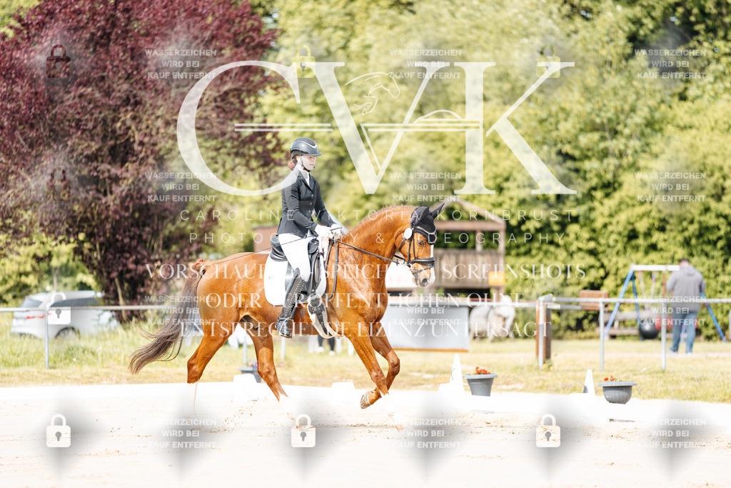 CK900639 | Turnierfotografie Pferdefotografie Trier Rheinland-Pfalz Pferdesport Reitsport Tierfotografie Sportfotografie Pferdevideo Pferdevideografie Equestrianvideography equestrianphotography  - Realisiert mit Pictrs.com