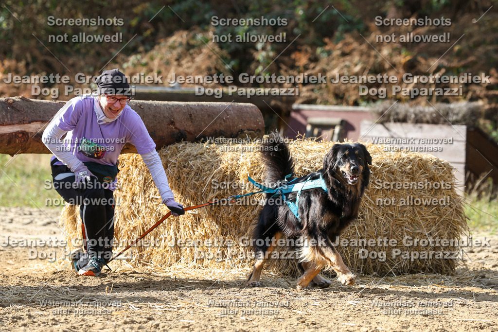 Dog Paparazzi - Strongdog 10-25-5829 | Dog Paparazzi Jeanette Grottendiek Fotografie & Videografie - Realisiert mit Pictrs.com