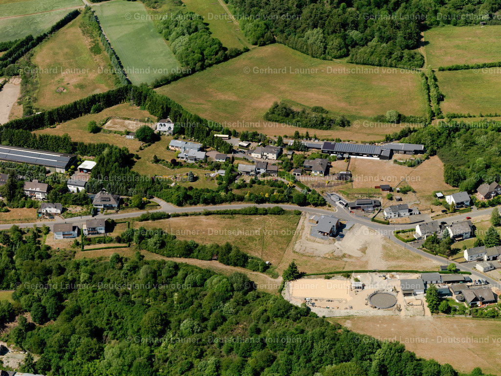 Leienkaul-3114140 | Leienkaul