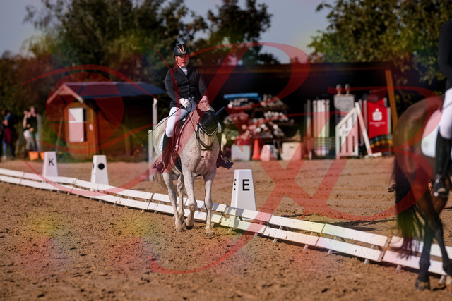 2026_10_03_Siefer-Hof_122837_Z81_27714912 | Professionelle Reitsport-, Turnier- und Eventfotografie von Robert Broda. Galerien mit ausgewählten und bearbeiteten Bildern direkt online ansehen und bestellen.