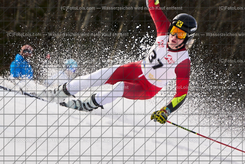 ALP8353_Herrn-FIS-GS-II_Lackenhof-WY_Gstrein Niklas | Internationaler FIS GiantSlalom der Herrn auf der Distelpiste in Lackenhof am Di 11. März 2025.  Österreich, LSV-NÖ, Sportunion Waidhofen/Ybbs (2035).