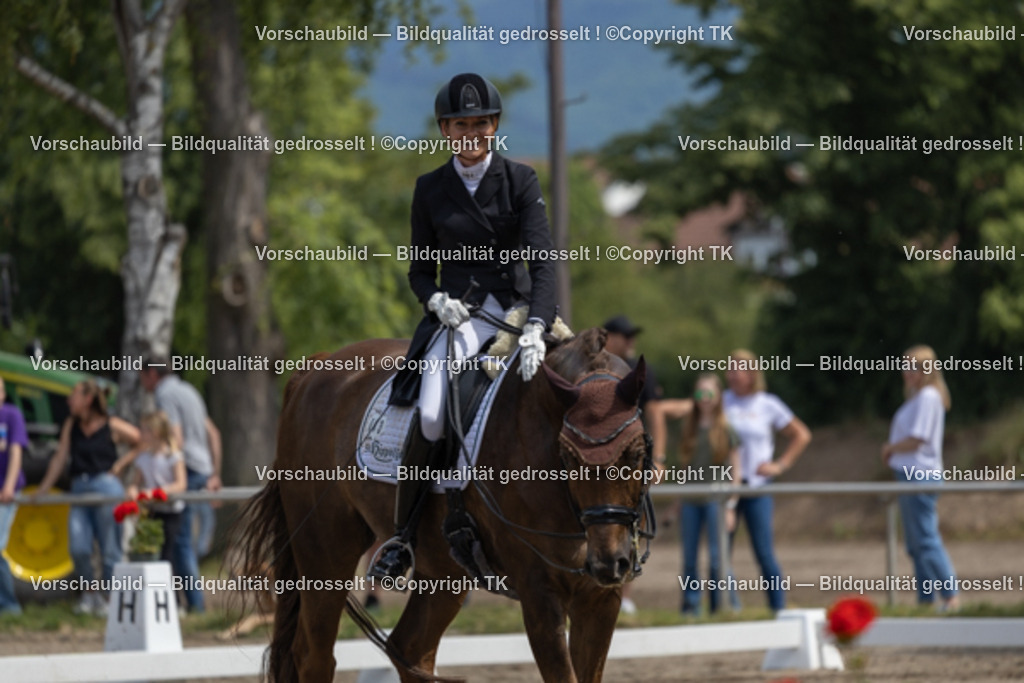 _D5A3935 | Emotionale Pferde- & People-Fotografie rund um Heidelberg, Leimen & Umgebung. Natürliche Fotos von Pferd, Mensch & Familie. Jetzt Termin sichern!
