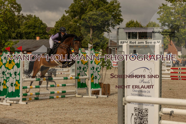 26-7-23 Einlaufprüfung-112 | mandyhollmannphotographie