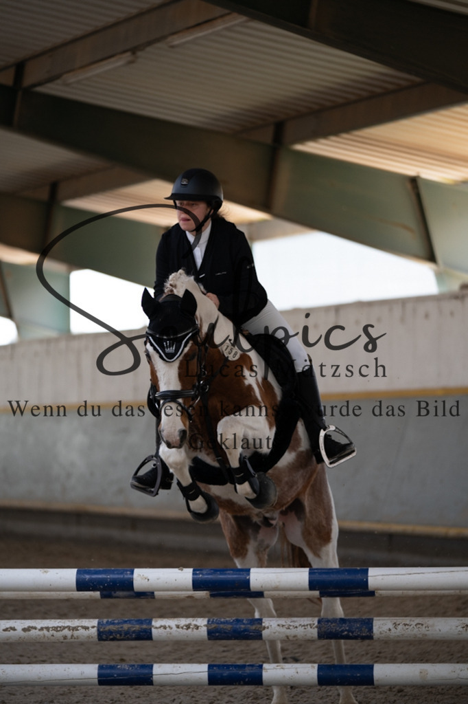 A7V06685 | Pferdefotograf