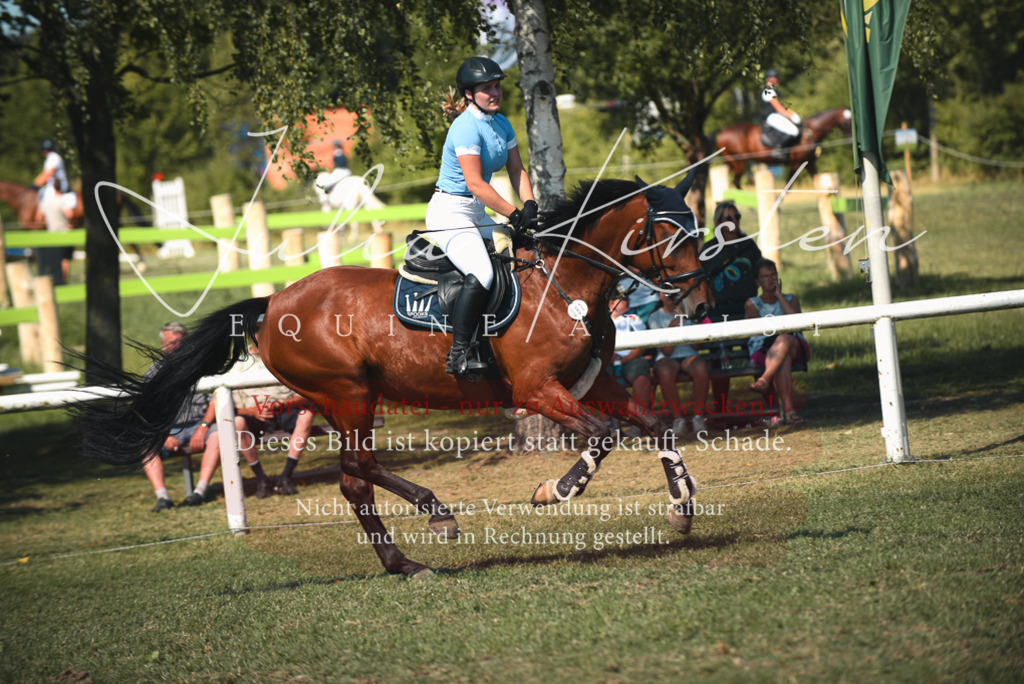 DSC_7146 | Pferde- und Turnierfotografie in Westsachsen. Pferdeportraits, Auftragszeichnungen und intuitive Kunst.