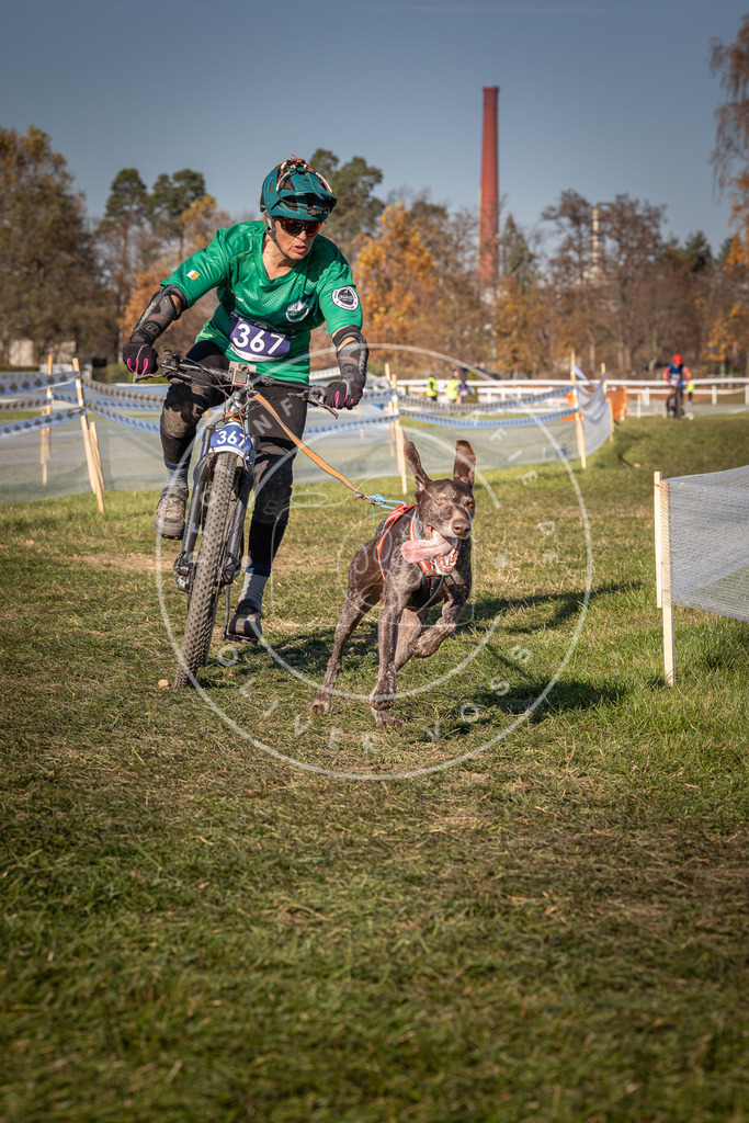 CaniXpix_0L8A6375 | Hundefotografie, Tierfotograf, Pfotenfotografie, Fotoshooting Hund, Hunde Portrait, Hundesport, Hundeportraits, Heideshooting, Hunde, Sportfotograf, Hundefotograf, Turnierhundsport, THS,  - Realisiert mit Pictrs.com