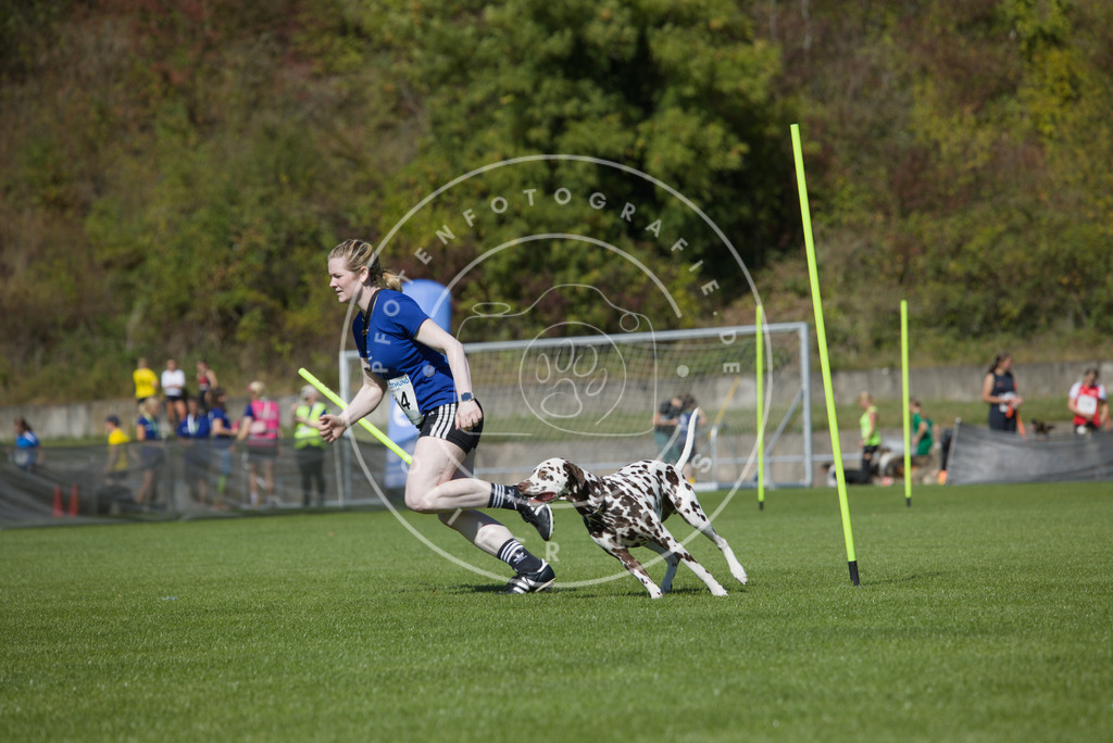 0L8A5897 | Hundefotografie, Tierfotograf, Pfotenfotografie, Fotoshooting Hund, Hunde Portrait, Hundesport, Hundeportraits, Heideshooting, Hunde, Sportfotograf, Hundefotograf, Turnierhundsport, THS,  - Realisiert mit Pictrs.com