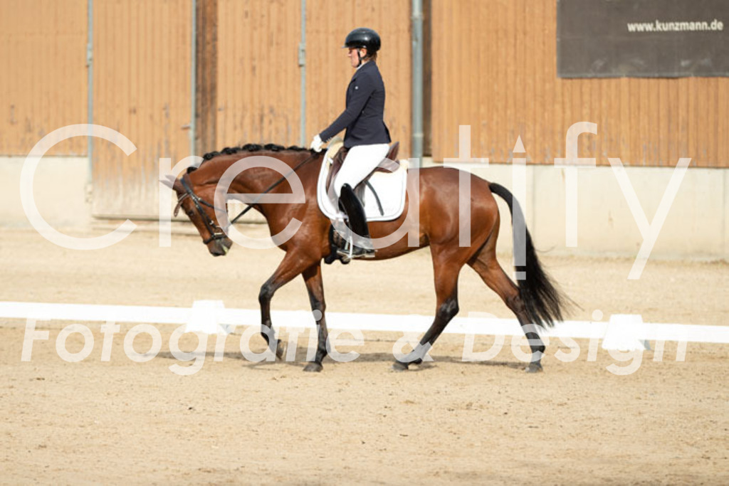 IMG_0386 | Creatify Fotografie