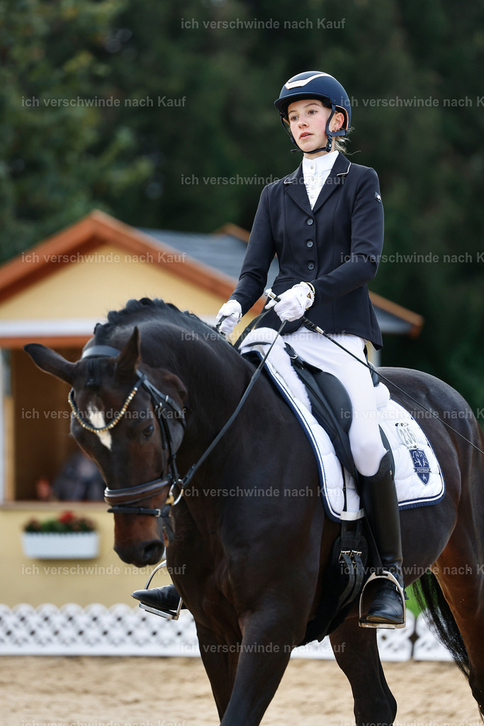 02-236-DRESSUR L_  -StoibPH-4723 | working equitationturnier fotograf videograf stoibphotography marixx film working equitation deutschland reitsport turnierfotografie eventfotografie equestrian events