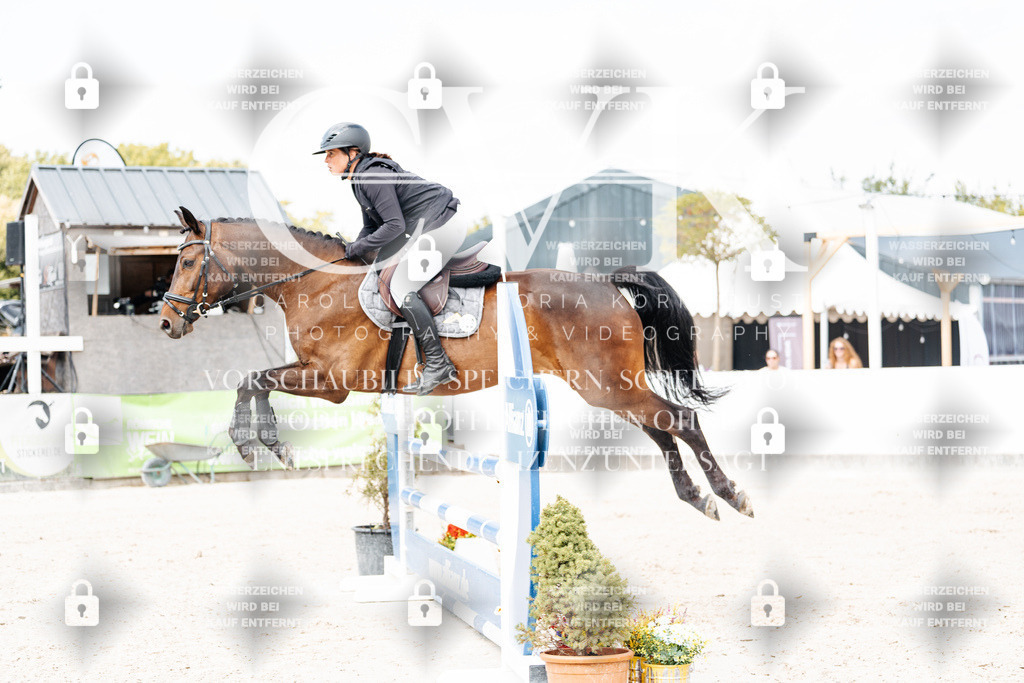 CK908949 | Turnierfotografie Pferdefotografie Trier Rheinland-Pfalz Pferdesport Reitsport Tierfotografie Sportfotografie Pferdevideo Pferdevideografie Equestrianvideography equestrianphotography  - Realisiert mit Pictrs.com