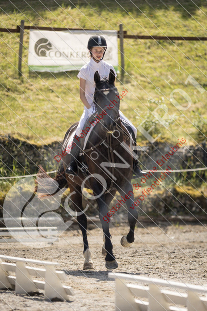IMG_4641 | Sport-, Event- und Tierfotos in Profiqualität. Einfach auswählen, bestellen und herunterladen. Dein Moment – perfekt festgehalten.