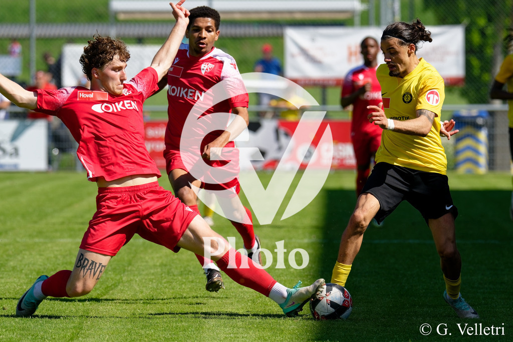 DSC_8181 | Velletri Photo