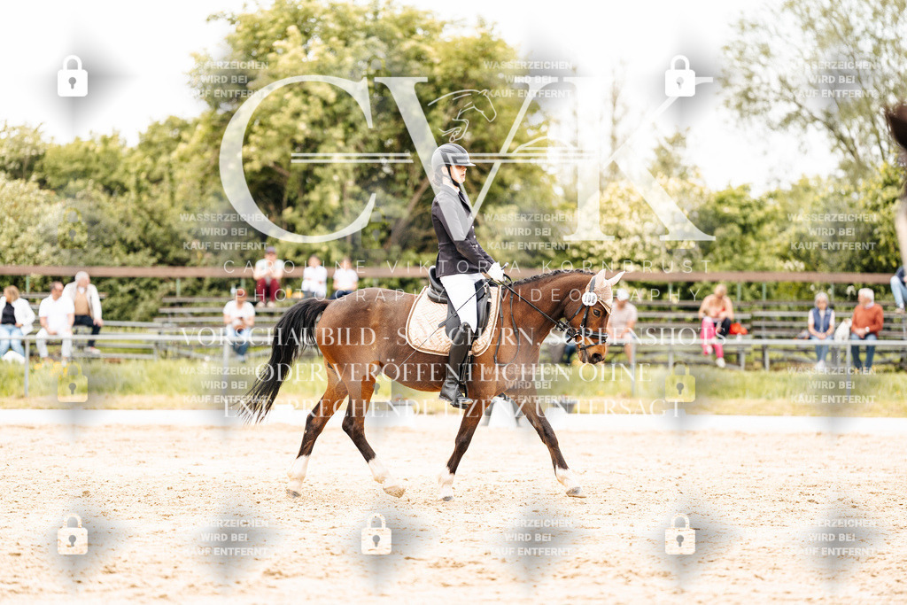 CK903548 | Turnierfotografie Pferdefotografie Trier Rheinland-Pfalz Pferdesport Reitsport Tierfotografie Sportfotografie Pferdevideo Pferdevideografie Equestrianvideography equestrianphotography  - Realisiert mit Pictrs.com