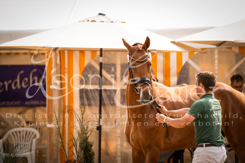 7.Fr00042 | Leoni Ertmer Photography - Realisiert mit Pictrs.com