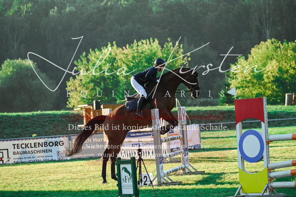 DSC_3823 | Pferde- und Turnierfotografie in Westsachsen. Pferdeportraits, Auftragszeichnungen und intuitive Kunst.
