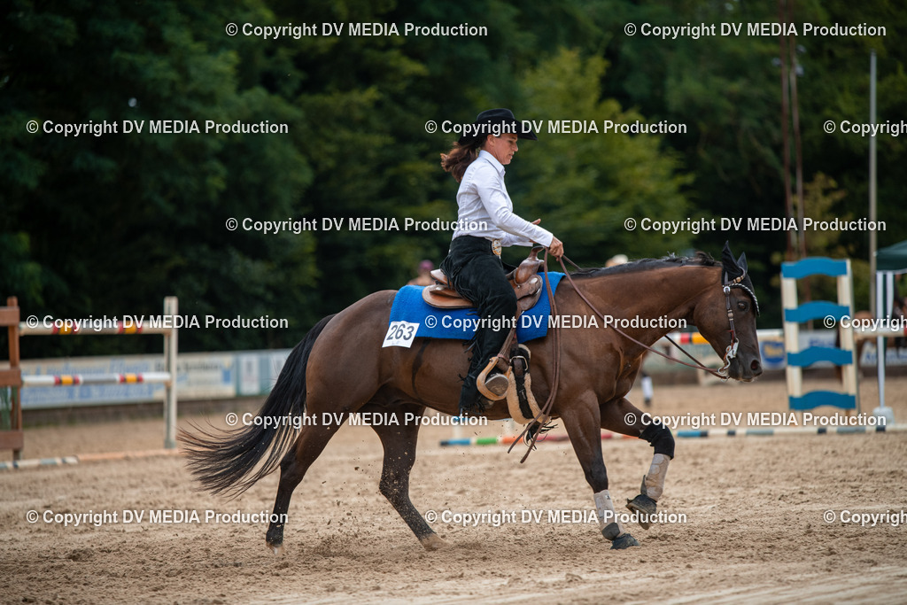 ZS2_8643 | dv-media-shop - Realisiert mit Pictrs.com