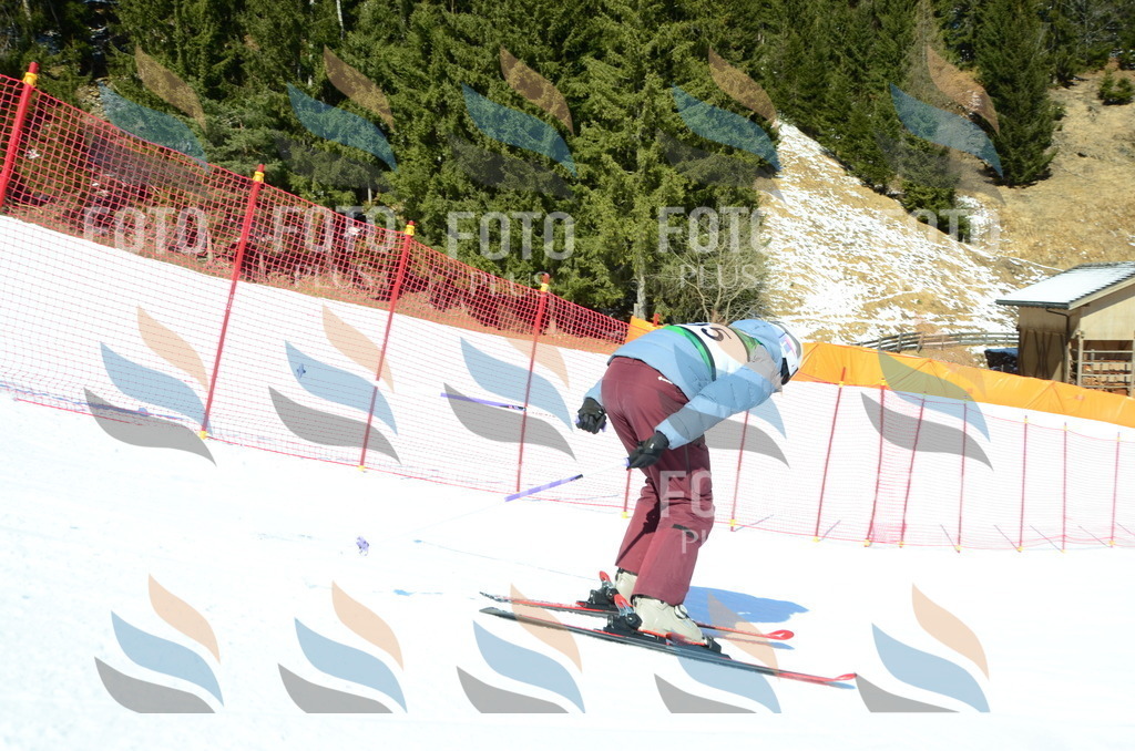 C6568 | holidayphoto