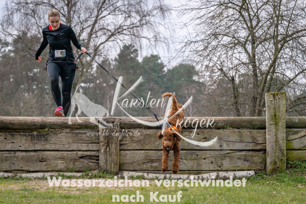 _ZZ92367 | kk-dogfotos