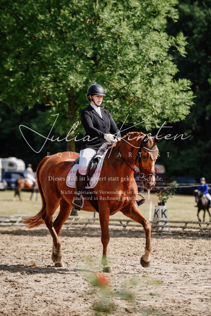DSC_0281 | Pferde- und Turnierfotografie in Westsachsen. Pferdeportraits, Auftragszeichnungen und intuitive Kunst.