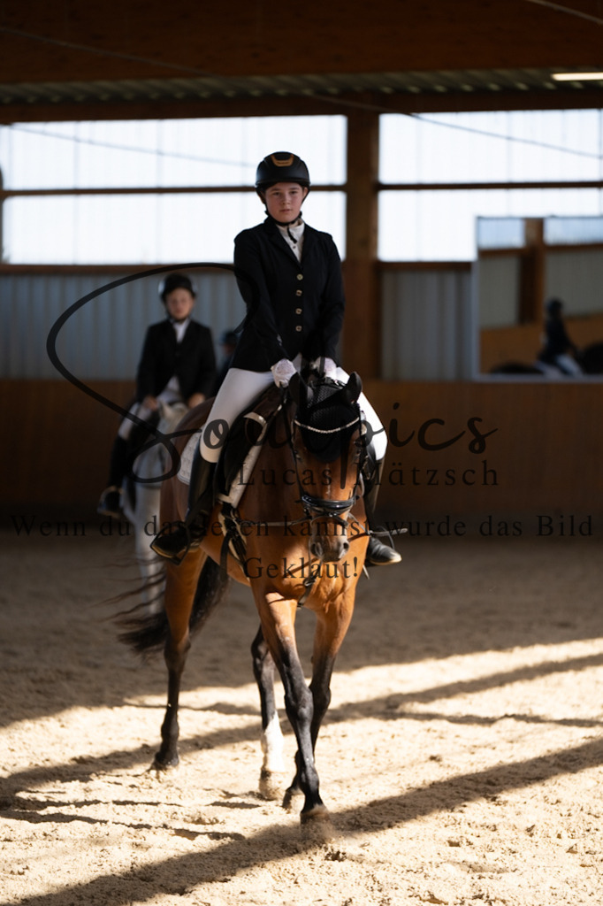 A7V02142 | Turnier/Reitfotograf