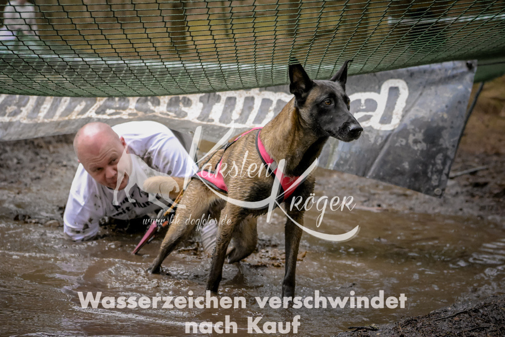 1029_ZZ91306 | kk-dogfotos
