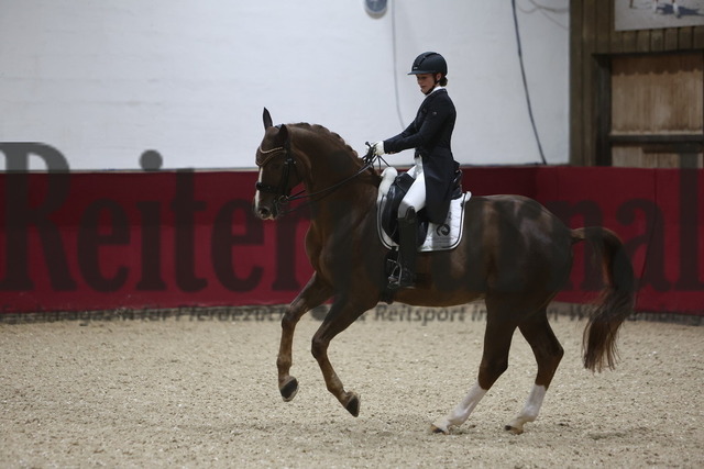 Reutlingen_2024_Prfg.Nr.04_Intermediaire I_Kür_Leonie Moll_Equidiamonds Bright Bellini (12) | Alle Fotos der Reiterjournal Fotografin Doris Matthaes im Reiterjournal Online-Fotoshop. - Realisiert mit Pictrs.com