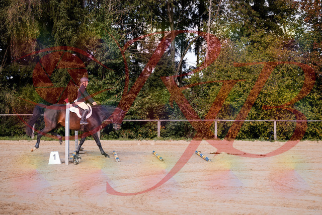 2026_10_03_Siefer-Hof_143955_Z81_10183095 | Professionelle Reitsport-, Turnier- und Eventfotografie von Robert Broda. Galerien mit ausgewählten und bearbeiteten Bildern direkt online ansehen und bestellen.