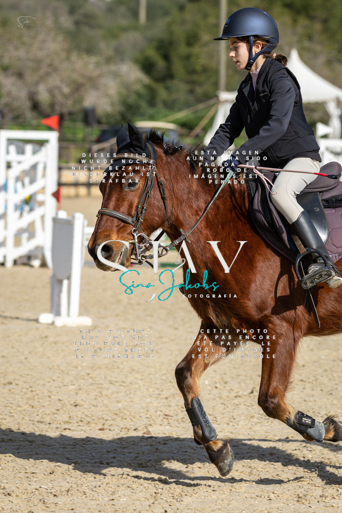 IMG_5984 | s-jay-photography - Realisiert mit Pictrs.com