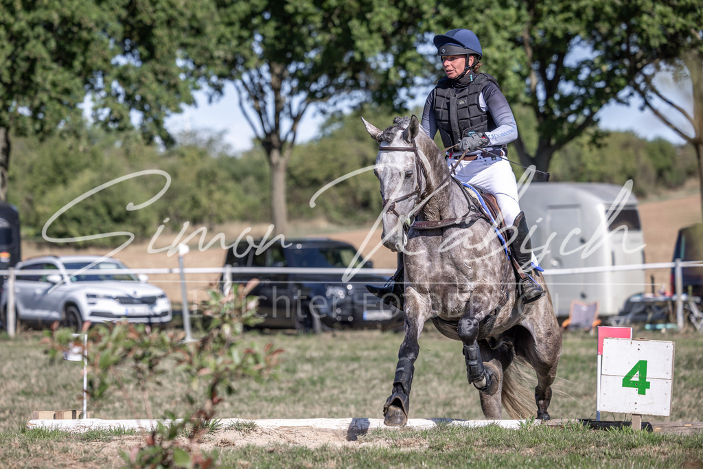 20260906-_3LI2168 | Tierfotografie Pferde, Hunde, Katzen, Haustiere.
Turnierfotografie Reitturniere, Reiten, Springreiten, Dressur in Hanau, dem Main-Kinzig-Kreis und dem Rhein-Main- Gebiet um Frankfurt