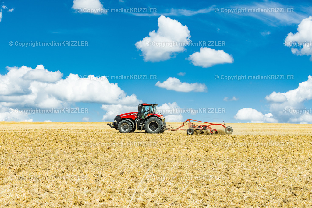 _J3A8350 | medienkrizzler - Realisiert mit Pictrs.com