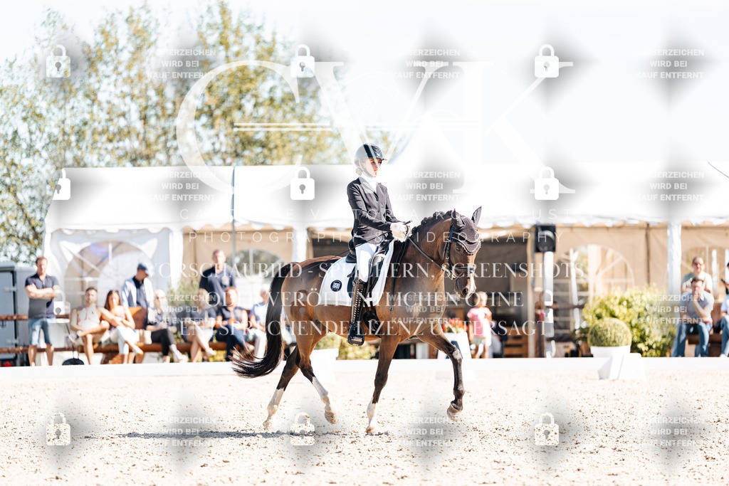 CK909622 | Turnierfotografie Pferdefotografie Trier Rheinland-Pfalz Pferdesport Reitsport Tierfotografie Sportfotografie Pferdevideo Pferdevideografie Equestrianvideography equestrianphotography  - Realisiert mit Pictrs.com