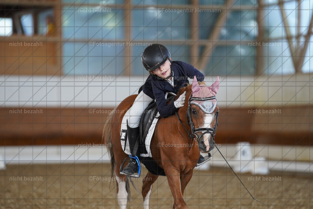 20240824-FAH07143 | Thierhaupten 2024, Bayerisches Landesponyturnier, Turnierbilder, Ponybilder, Turnierfotografen Bayern, Fotoagentur Herrmann