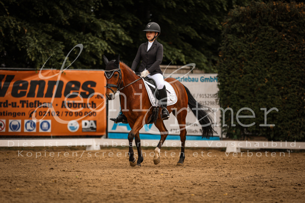 DoDrE00284 | Leoni Ertmer Photography - Realisiert mit Pictrs.com