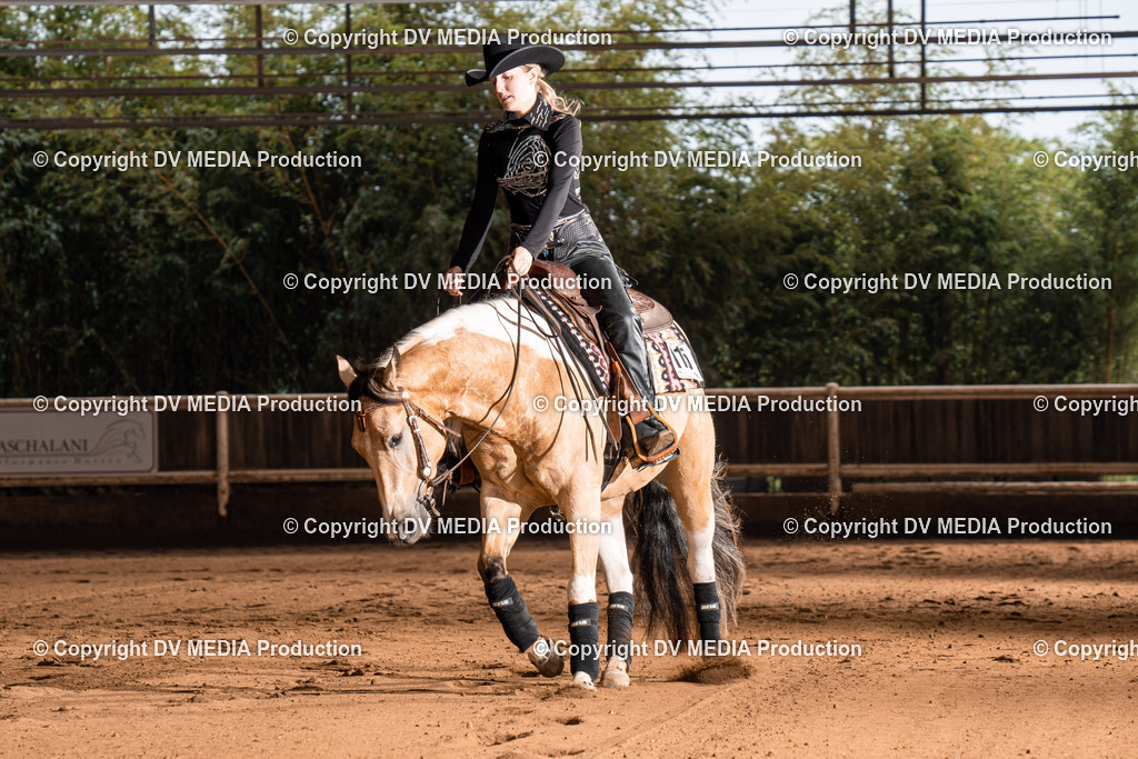 Erbach Tag 2-973 | dv-media-shop - Realisiert mit Pictrs.com