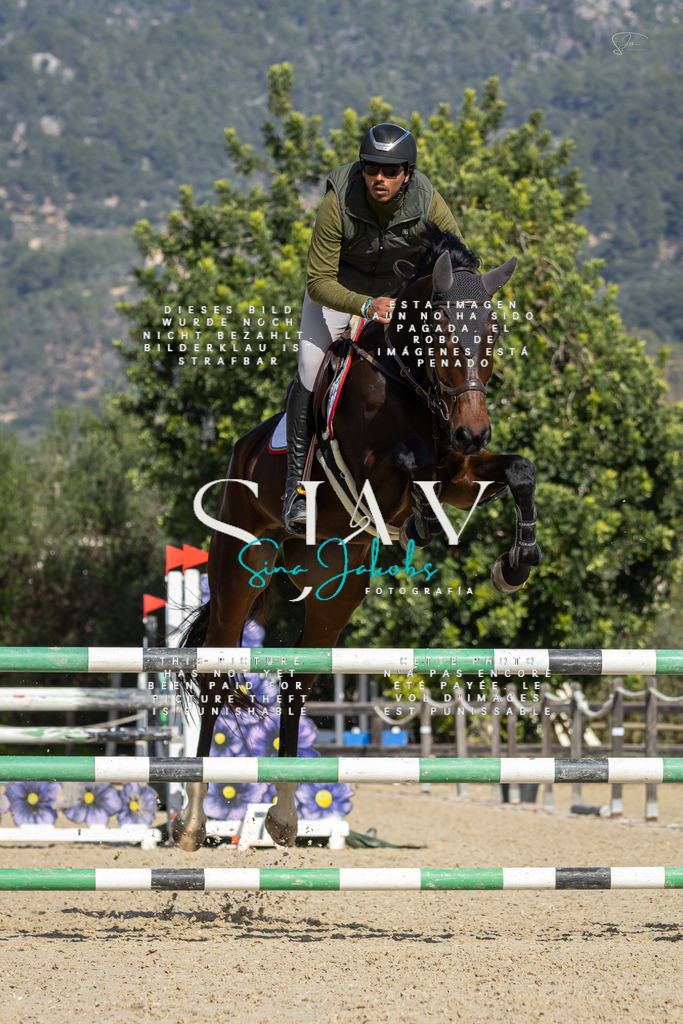 IMG_6650 | s-jay-photography - Realisiert mit Pictrs.com