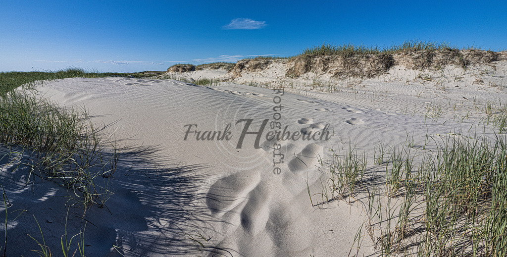 St. Peter Ording | St. Peter Ording - Realisiert mit Pictrs.com