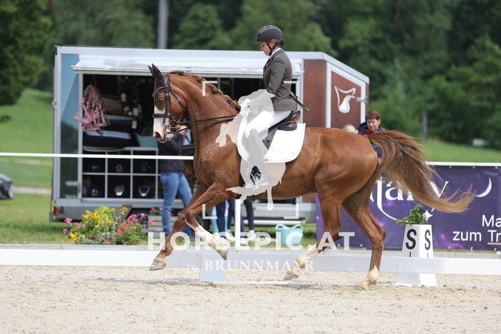 0P6A5419 | Willkommen bei Brunnmayr - Design & Fotografie – Ihrem Spezialisten für Reitturniere und Pferdeveranstaltungen in Oberösterreich, Salzburg und Bayern! Seit über 17 Jahren sind wir leidenschaftlich dabei.