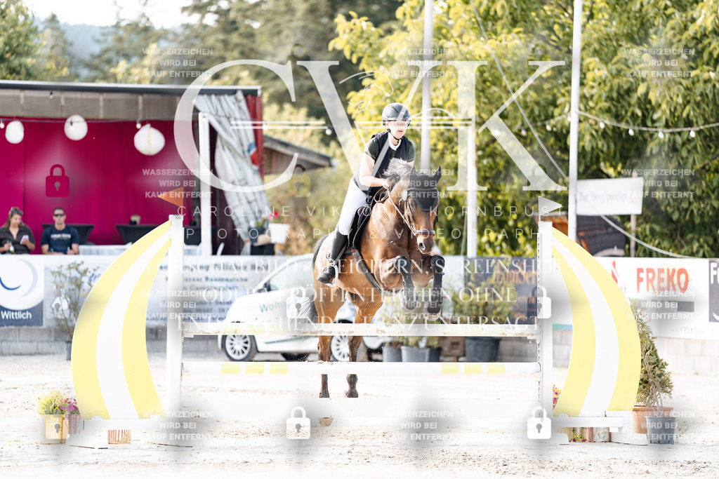 CK906279 | Turnierfotografie Pferdefotografie Trier Rheinland-Pfalz Pferdesport Reitsport Tierfotografie Sportfotografie Pferdevideo Pferdevideografie Equestrianvideography equestrianphotography  - Realisiert mit Pictrs.com