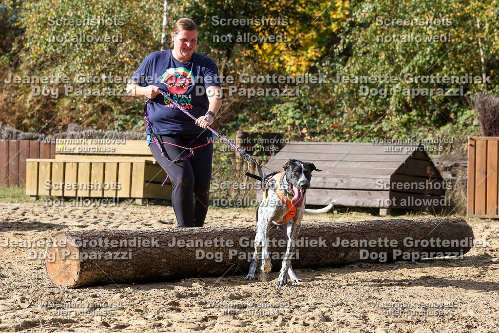 Dog Paparazzi - Strongdog 10-25-5219 | Dog Paparazzi Jeanette Grottendiek Fotografie & Videografie - Realisiert mit Pictrs.com