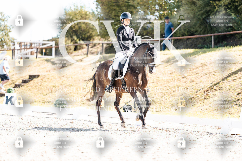CK909495 | Turnierfotografie Pferdefotografie Trier Rheinland-Pfalz Pferdesport Reitsport Tierfotografie Sportfotografie Pferdevideo Pferdevideografie Equestrianvideography equestrianphotography  - Realisiert mit Pictrs.com