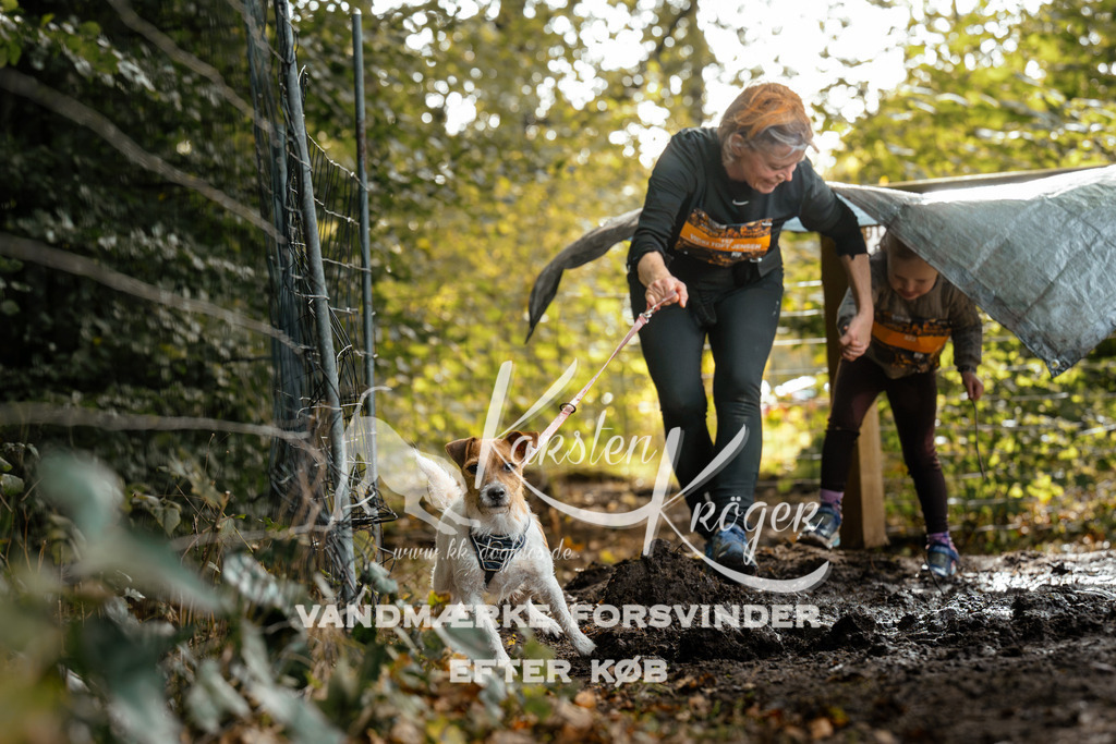 1452DZ6_3651Z6 | kk-dogfotos