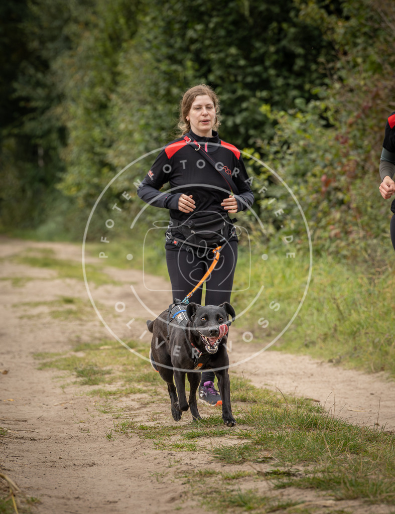 Pfotenfotografie_DV3A7319 | Hundefotografie, Tierfotograf, Pfotenfotografie, Fotoshooting Hund, Hunde Portrait, Hundesport, Hundeportraits, Heideshooting, Hunde, Sportfotograf, Hundefotograf, Turnierhundsport, THS,  - Realisiert mit Pictrs.com